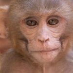 Tropical Luau - Take me a Photo!!