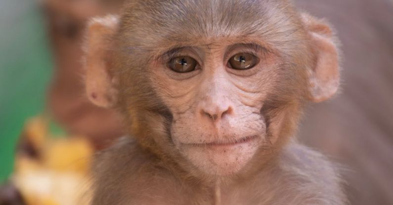 Tropical Luau - Take me a Photo!!