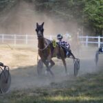 Consistent Pacing - Horses with Sulkies in a Harness Race