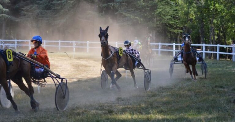 Consistent Pacing - Horses with Sulkies in a Harness Race