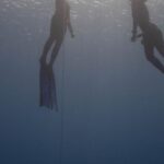 Dive Training Sessions - From below of anonymous divers in wetsuits with flippers swimming up rope under clear sea water in sun rays