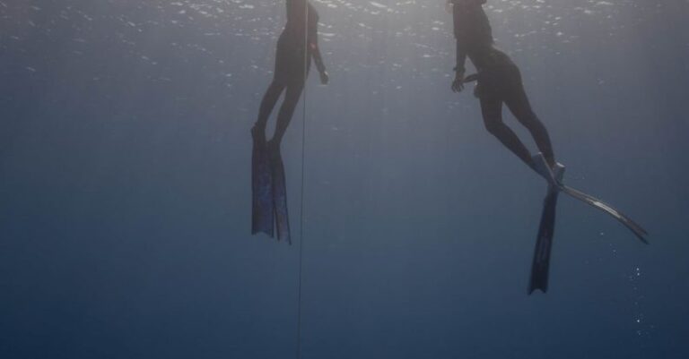 Dive Training Sessions - From below of anonymous divers in wetsuits with flippers swimming up rope under clear sea water in sun rays