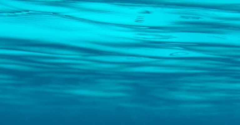 Underwater Kick - Under the sea