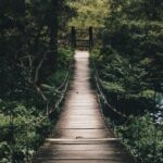 Pathway - Black Hanging Bridge Surrounded by Green Forest Trees