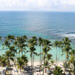 Sun Shelters Cabanas - Green Palm Trees Near Body of Water