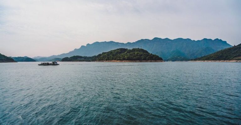 Saltwater Systems - Photo of Island Covered With Trees