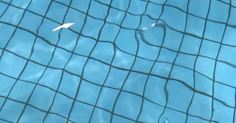 Pool Cleaning Supplies - Swimming pool with water and blue bottom