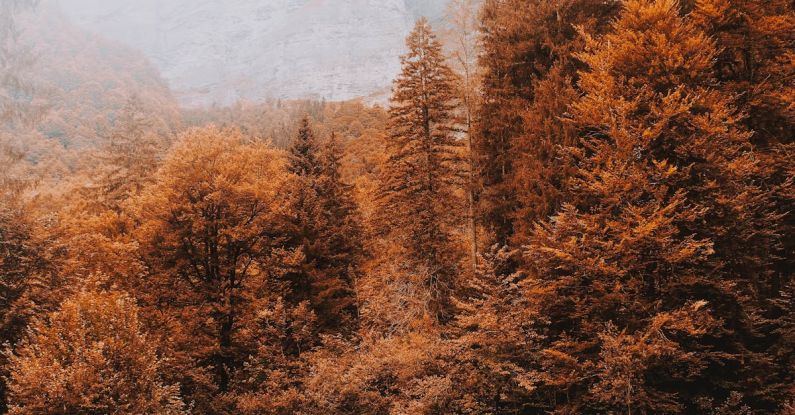 Aqua Cycling - Peaceful scenery of autumn forest trees with yellow leaves growing nearby tranquil blue lake on cold day